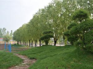 校园环境展示